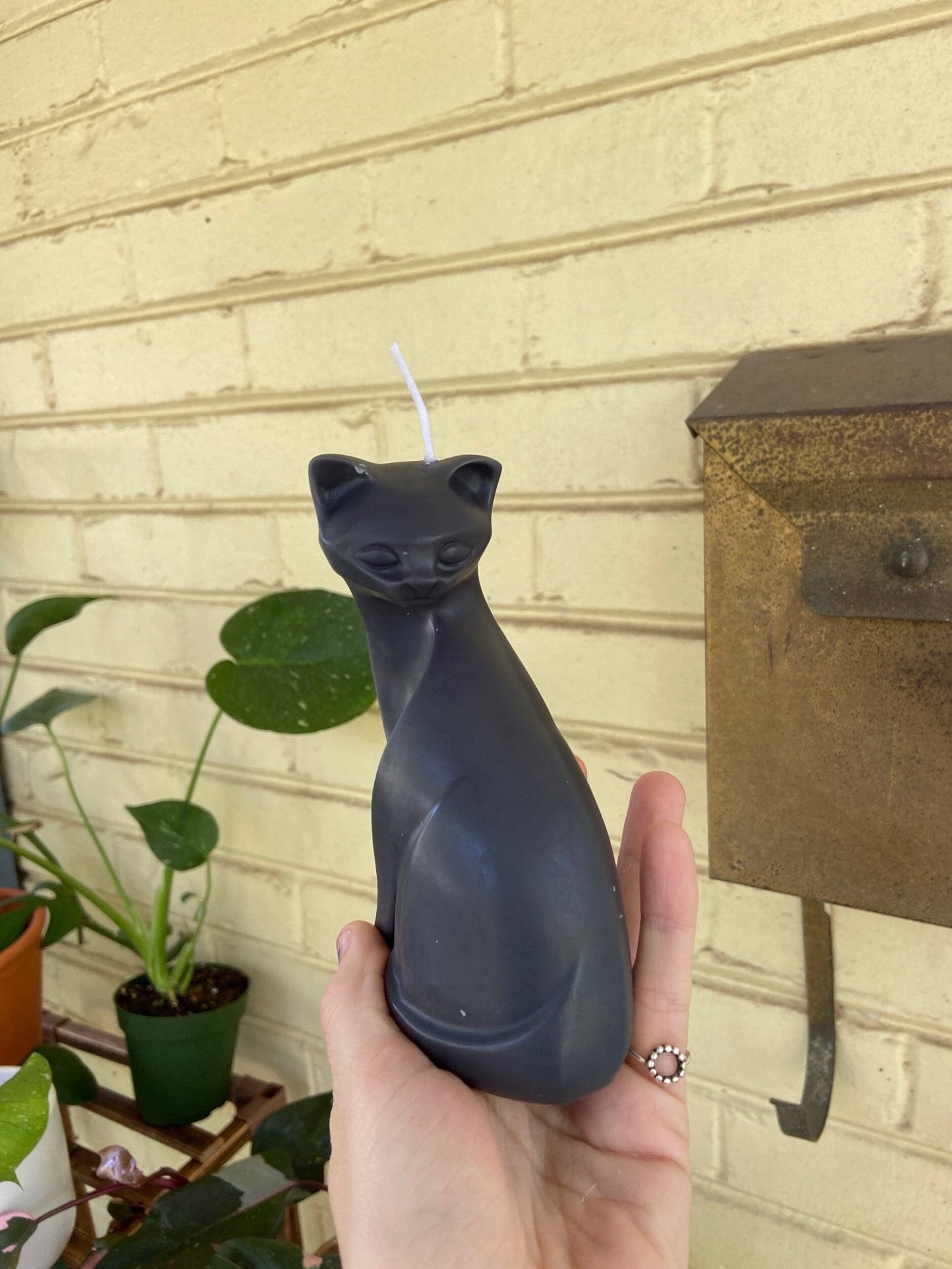 Cat candle - Kendall's Kandles